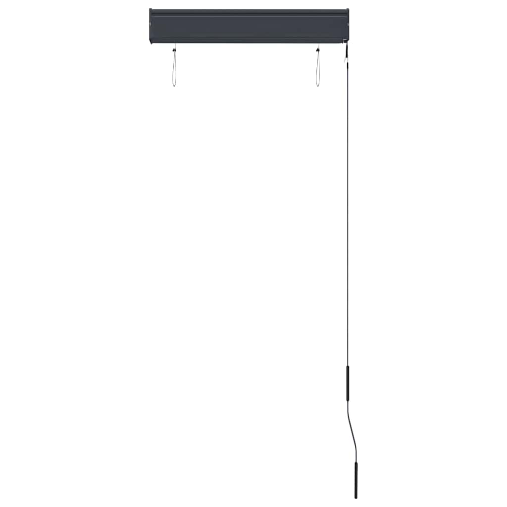 Outdoor Roller Blind 60x250 cm Anthracite