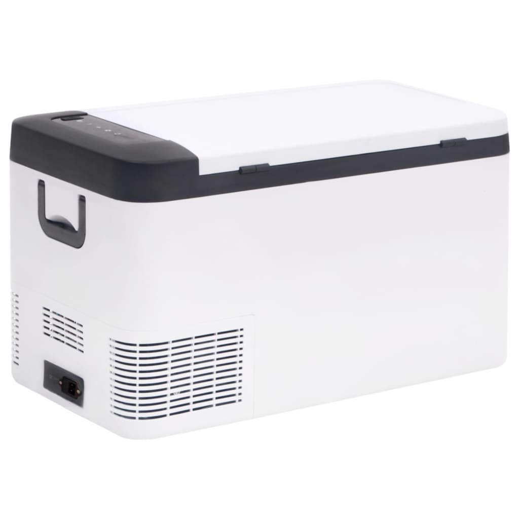 Cool Box with Handle Black and White 25 L PP & PE