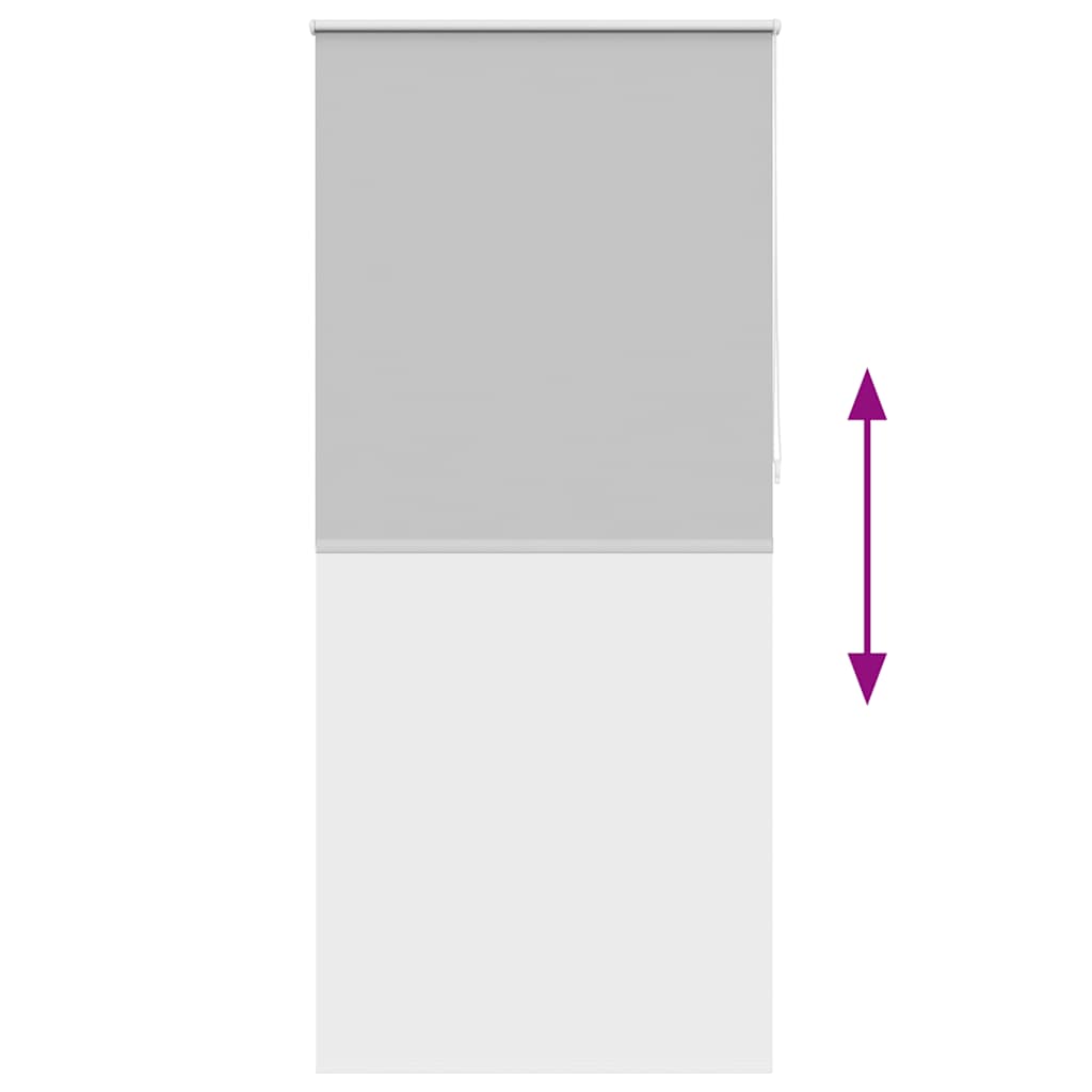 Roller Blind Blackout 100 x 230 cm Grey