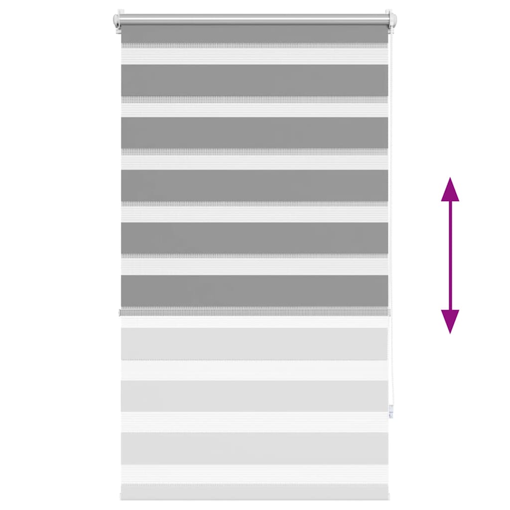 Zebra Blind 70 x 120 cm Grey