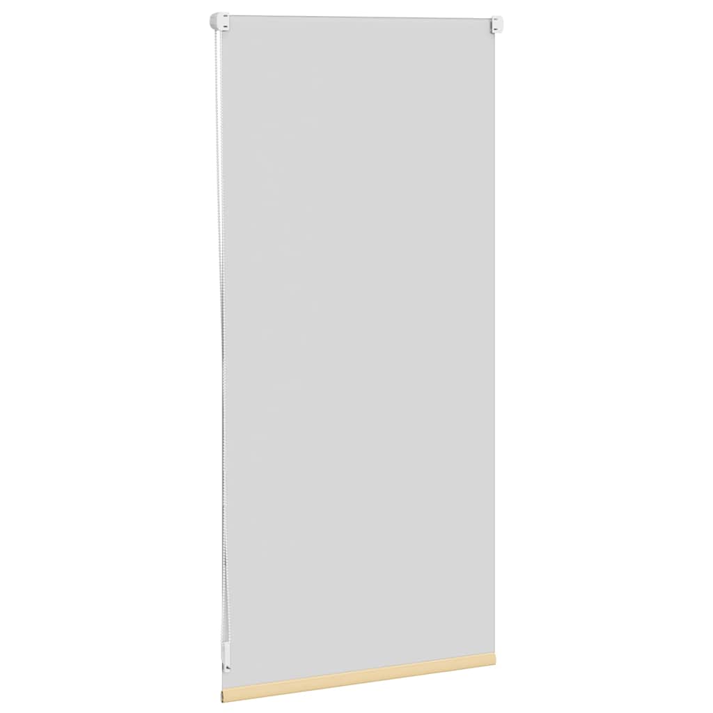 Roller Blind Blackout 40 x 100 cm Beige