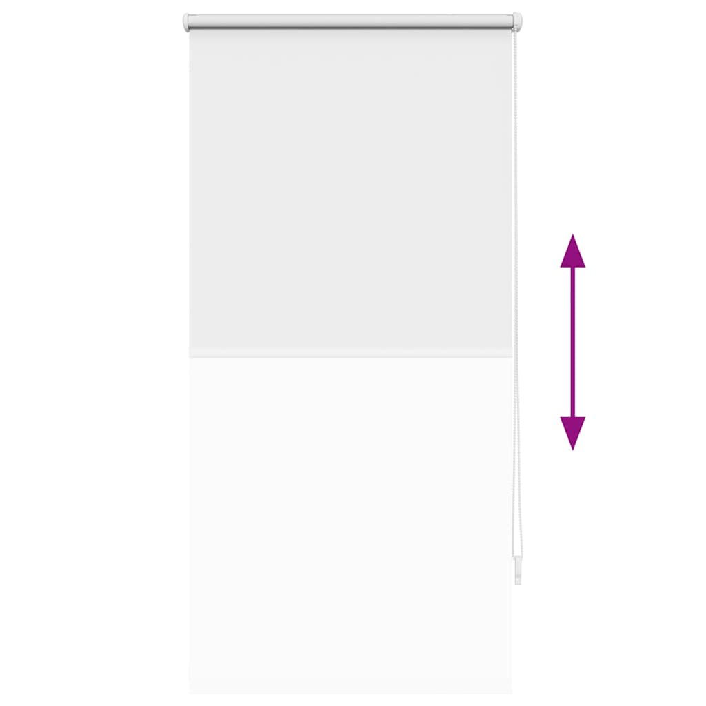 Roller Blind Blackout 60 x 120 cm White