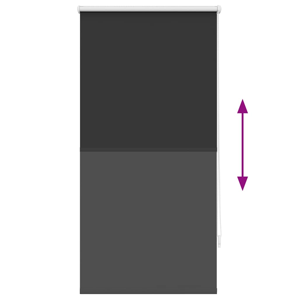 Roller Blind Blackout 60 x 120 cm Black