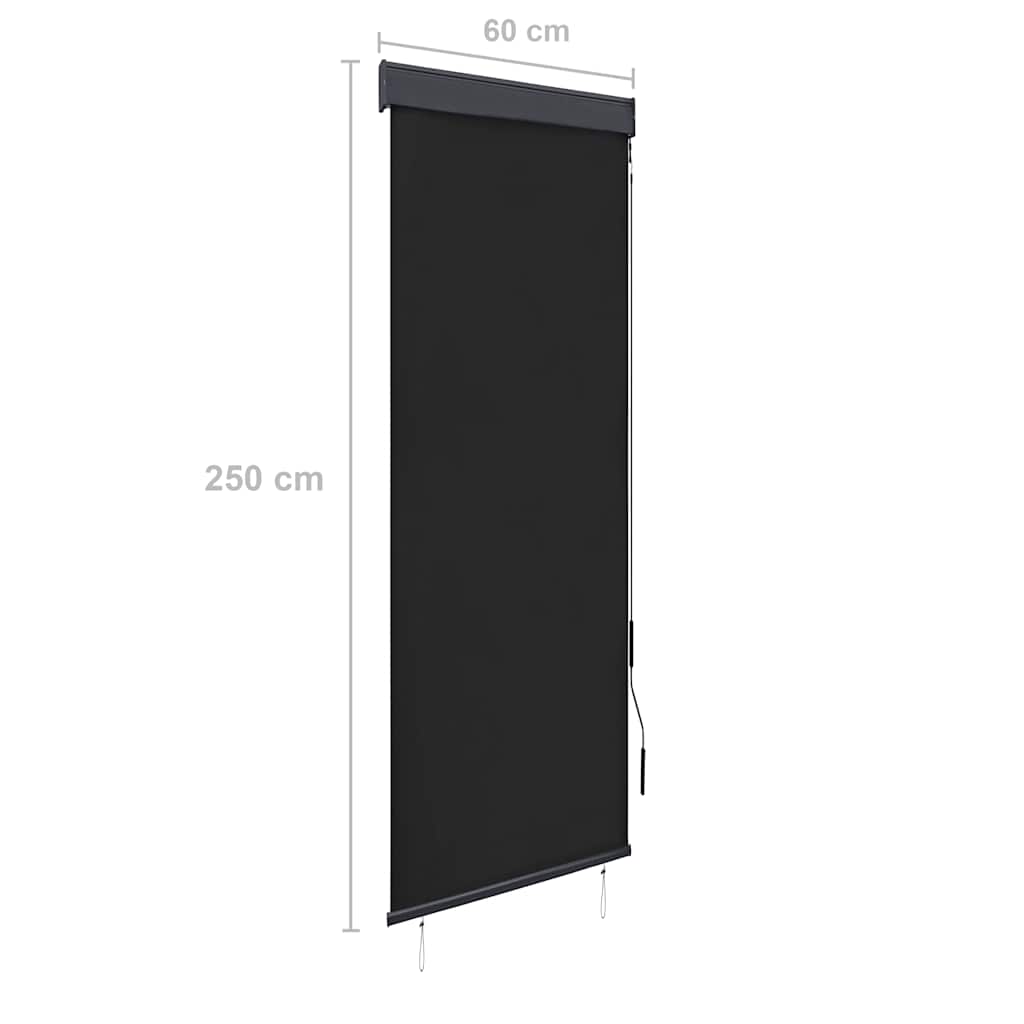 Outdoor Roller Blind 60x250 cm Anthracite
