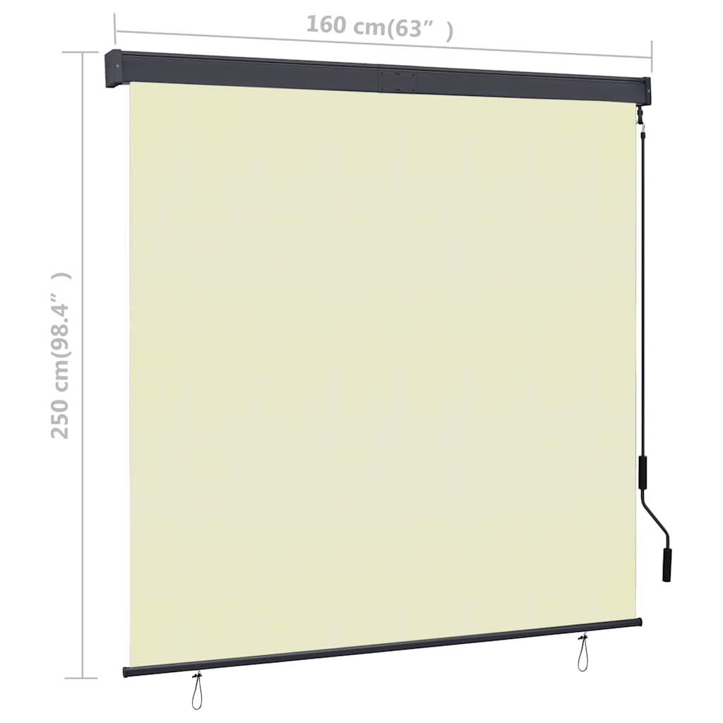Outdoor Roller Blind 160x250 cm Cream
