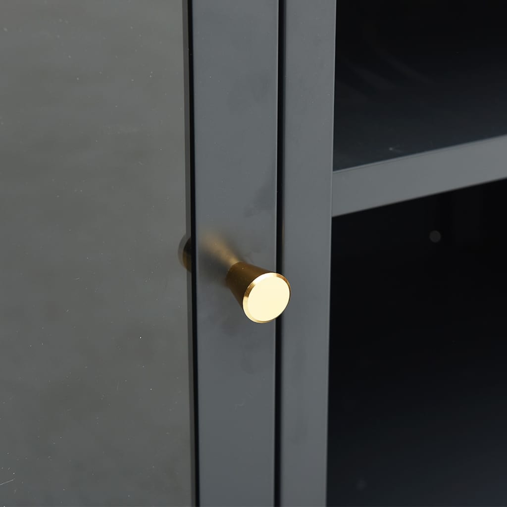 TV Cabinet Anthracite 105x35x52 cm Steel and Glass