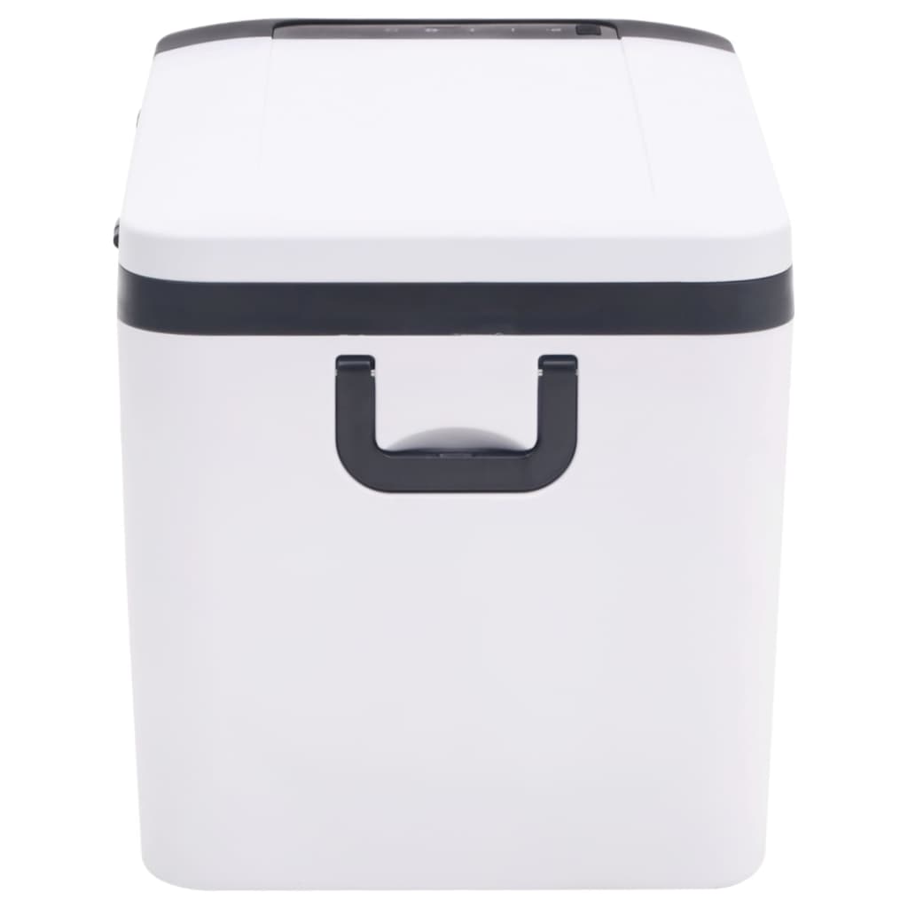 Cool Box with Handle Black and White 25 L PP & PE