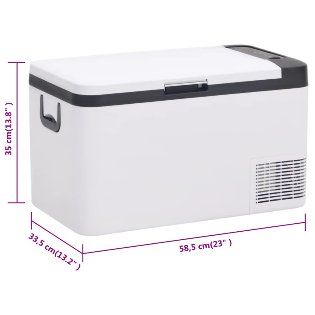 Cool Box with Handle Black and White 25 L PP & PE