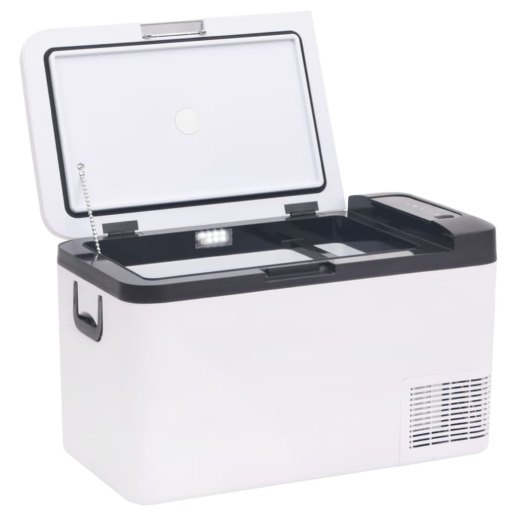 Cool Box with Handle Black and White 25 L PP & PE