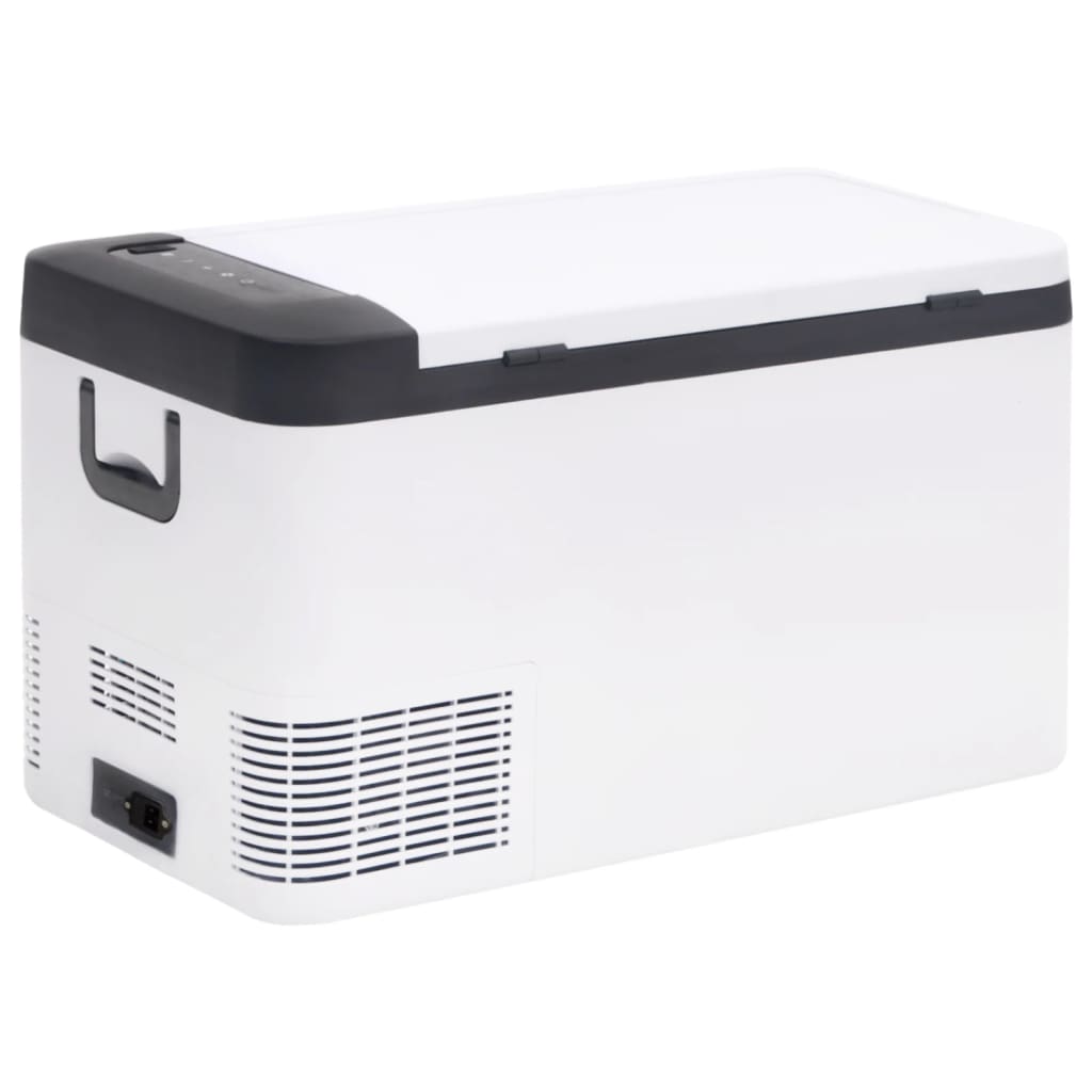 Cool Box with Handle Black and White 25 L PP & PE