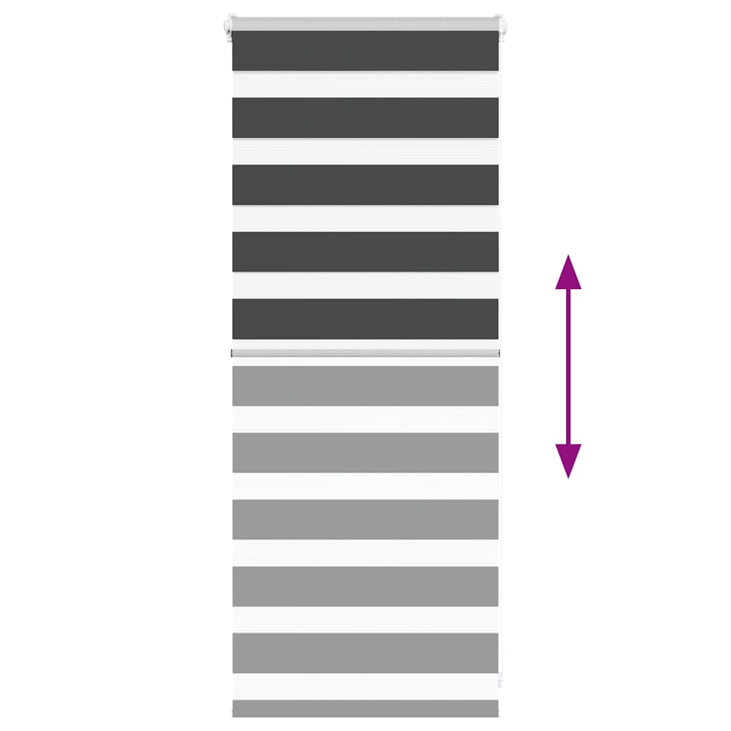 Zebra Blind Black 60x100 cm Fabric Width 55.9 cm Polyester