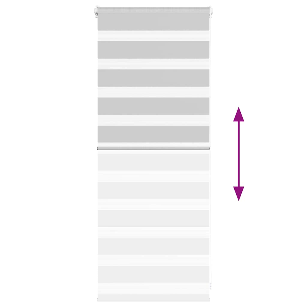 Zebra Blind Light Grey 55x100 cm Fabric Width 50.9 cm Polyester