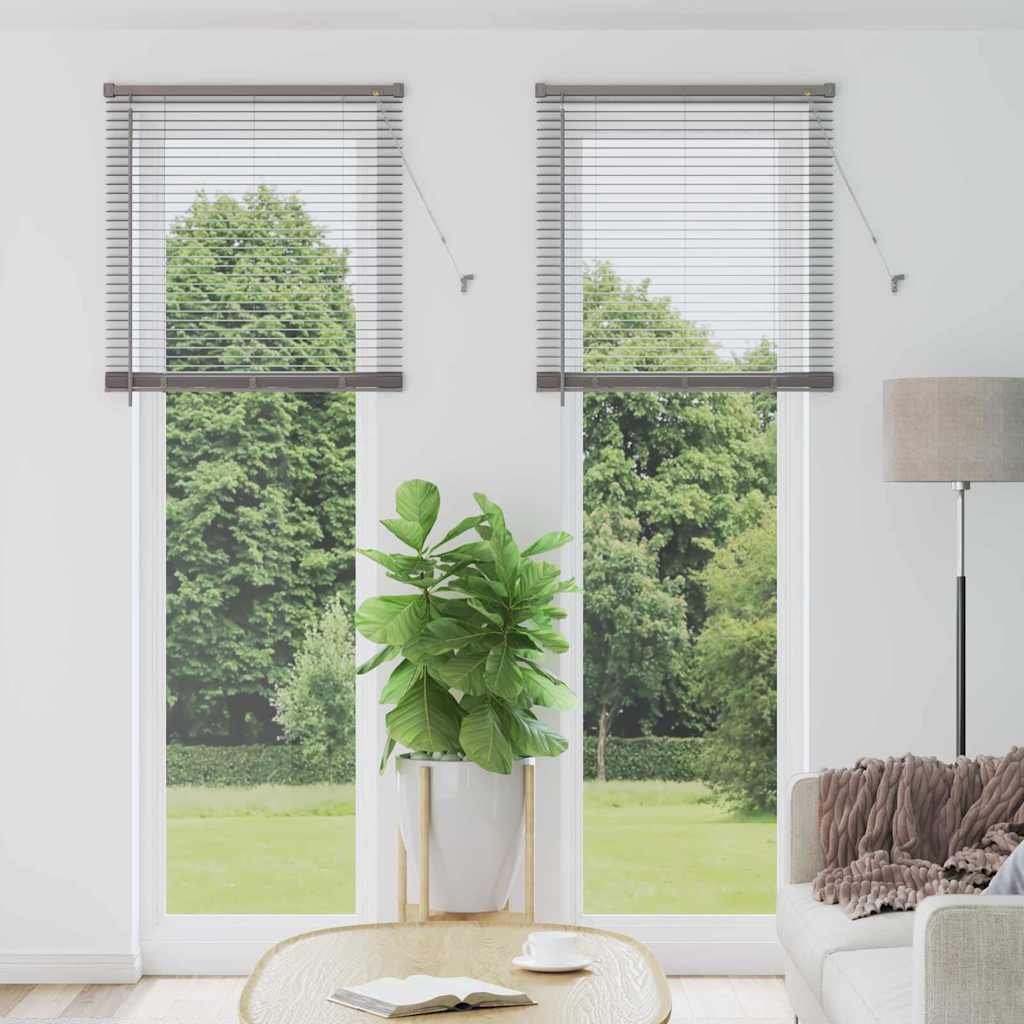 Window Blind with Curtains Manual Silver Aluminium
