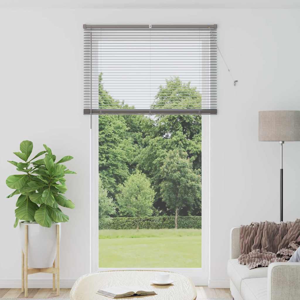 Window Blind with Curtains Manual Silver Aluminium