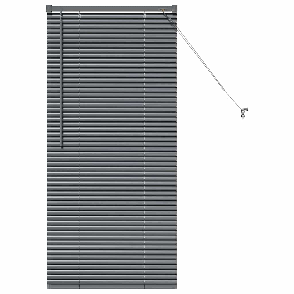 Window Blind with Curtains Manual Dark grey Aluminium