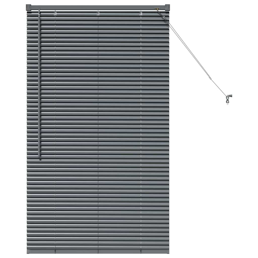 Window Blind with Curtains Manual Dark grey Aluminium