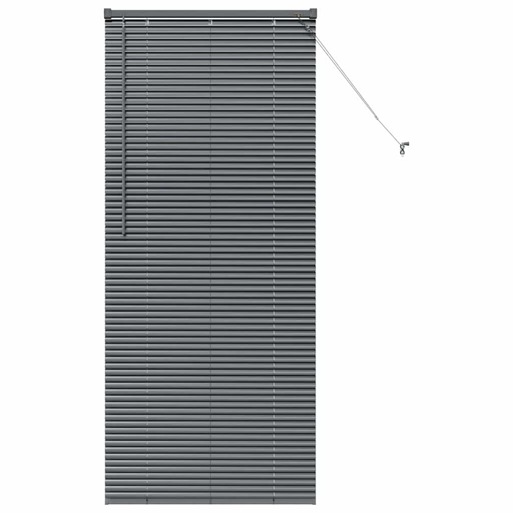 Window Blind with Curtains Manual Dark grey Aluminium