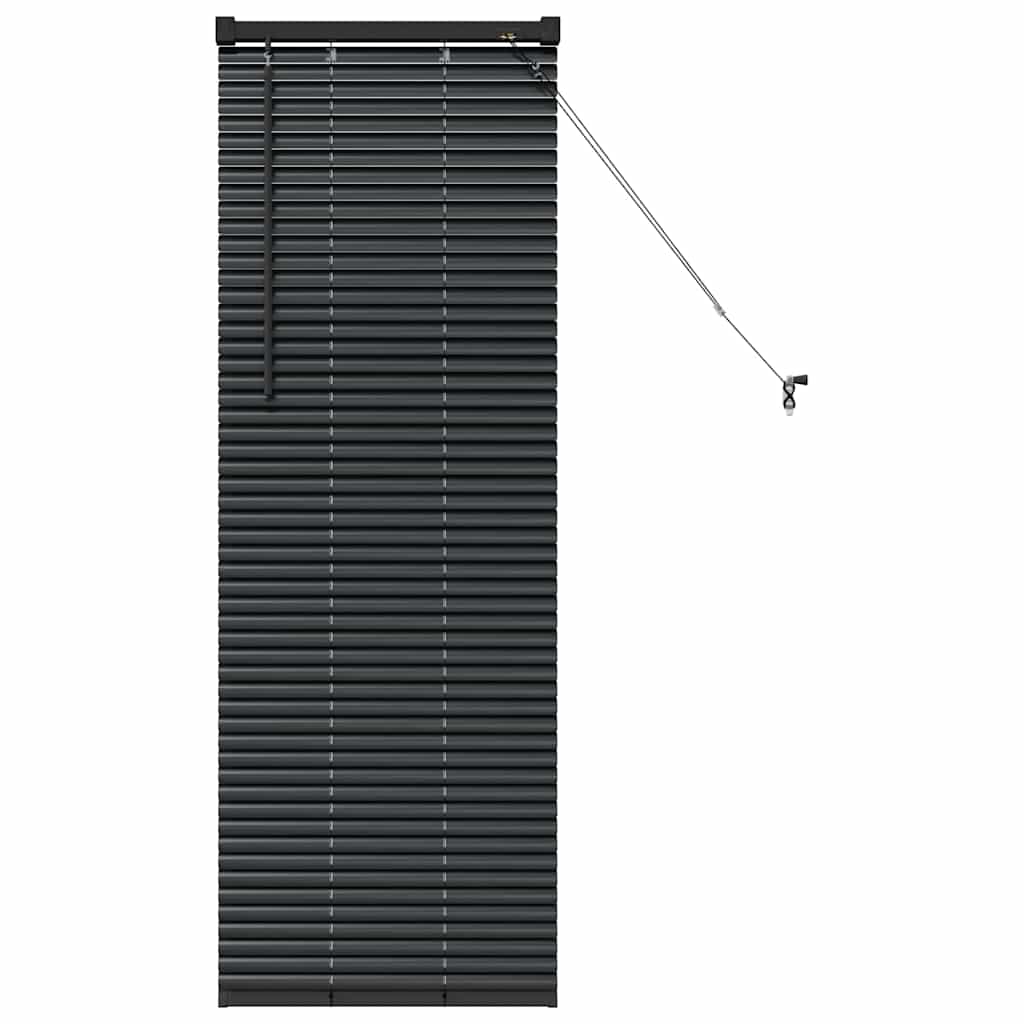 Window Blind with Curtains Manual Black Aluminium