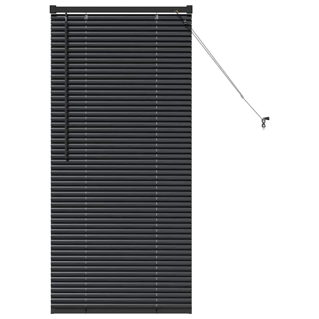 Window Blind with Curtains Manual Black Aluminium