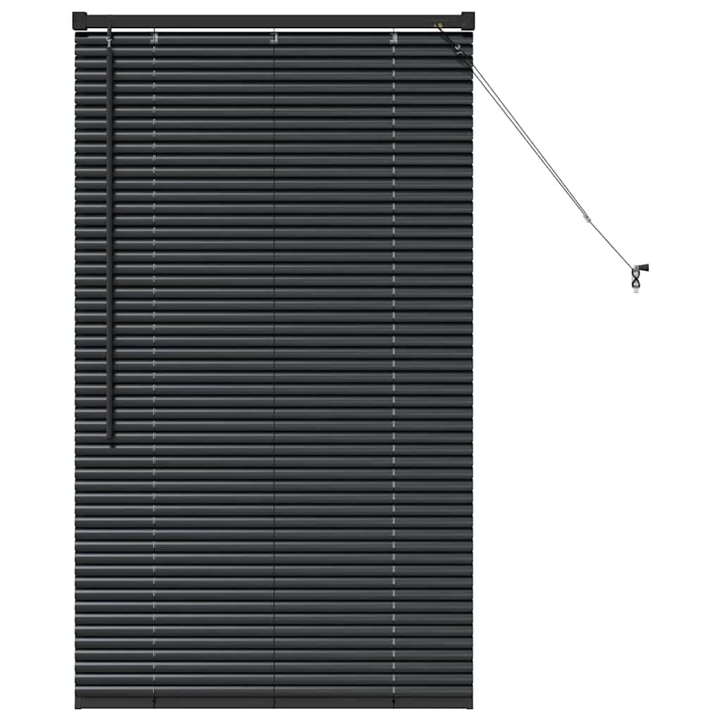 Window Blind with Curtains Manual Black Aluminium