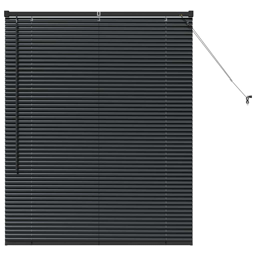 Window Blind with Curtains Manual Black Aluminium