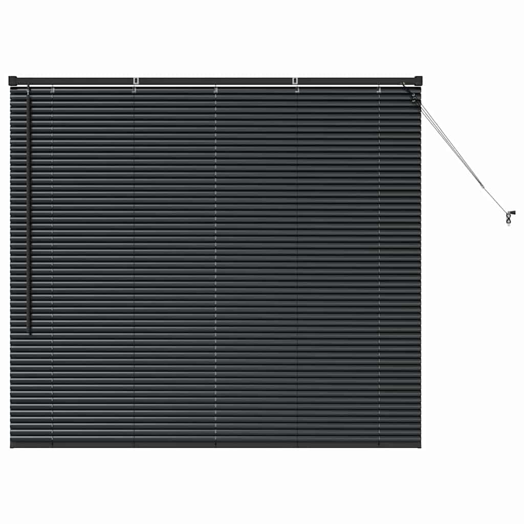 Window Blind with Curtains Manual Black Aluminium