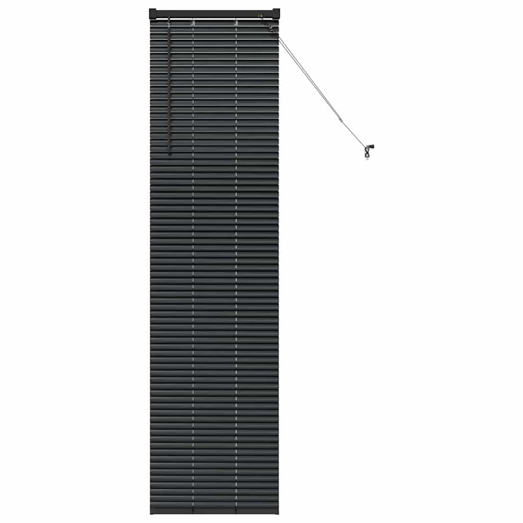 Window Blind with Curtains Manual Black Aluminium