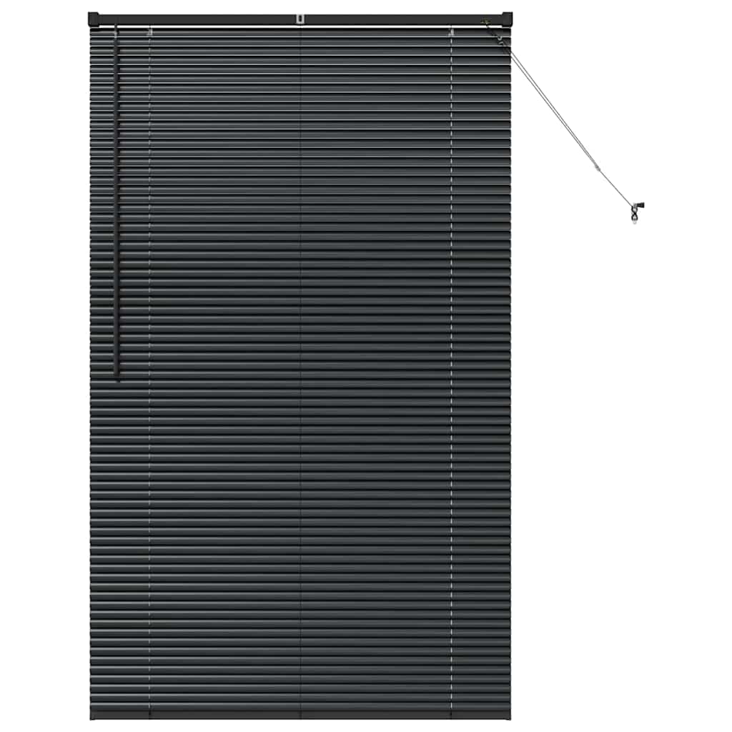 Window Blind with Curtains Manual Black Aluminium