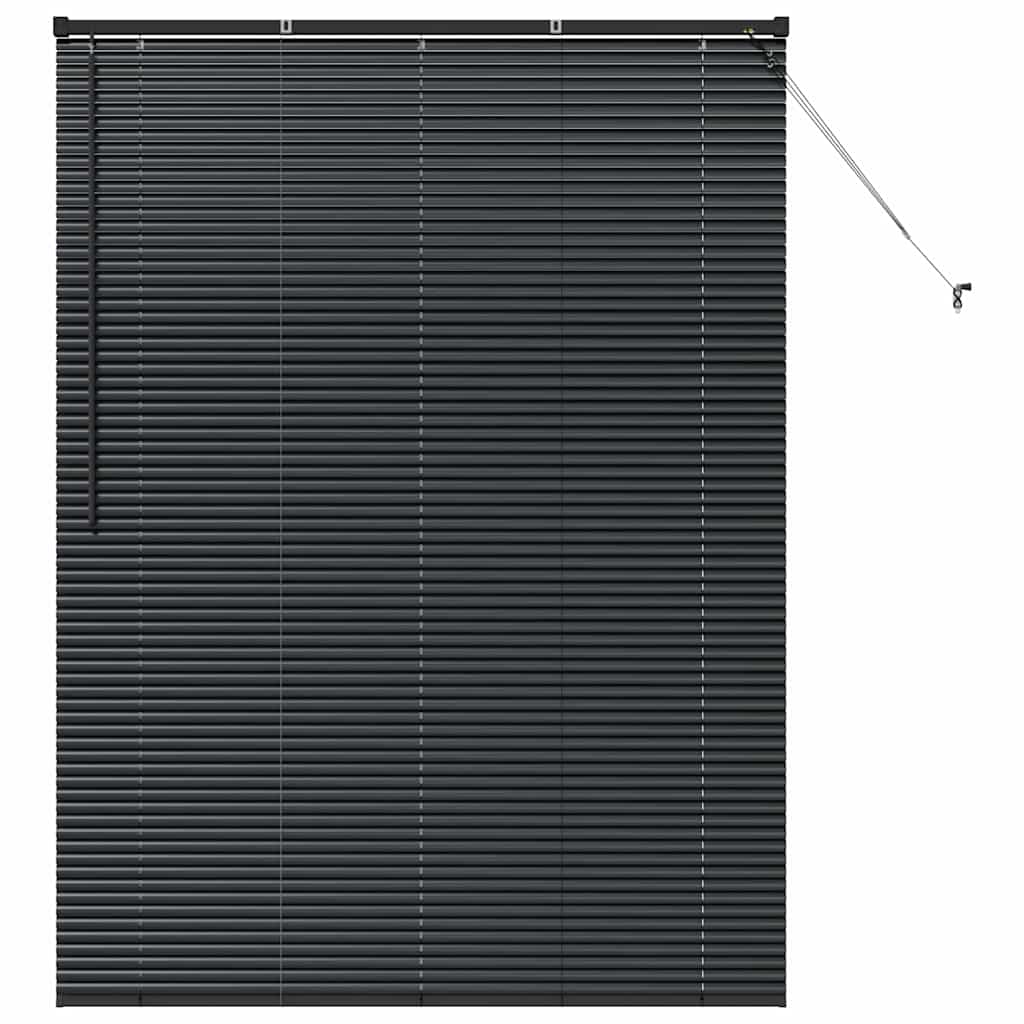 Window Blind with Curtains Manual Black Aluminium