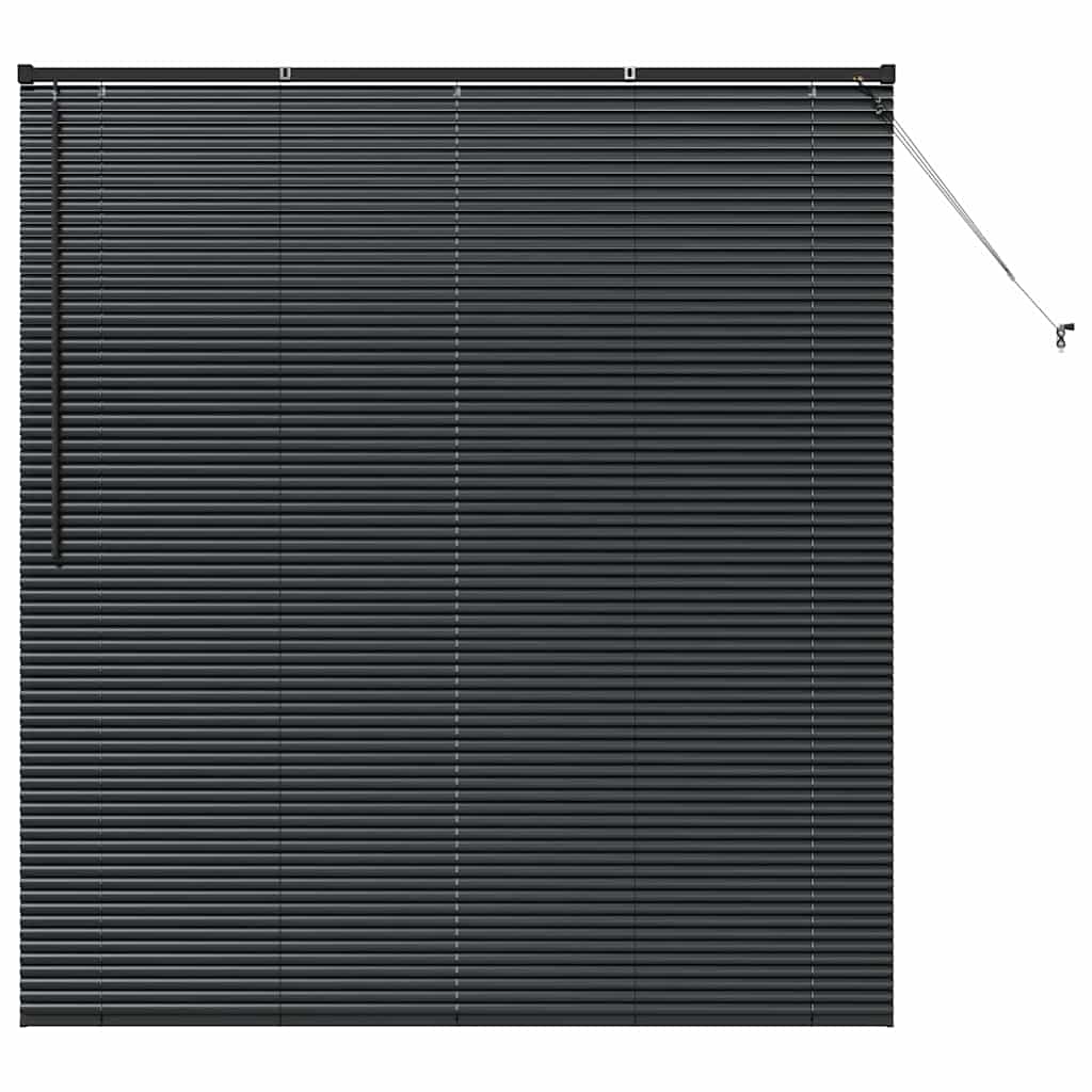 Window Blind with Curtains Manual Black Aluminium