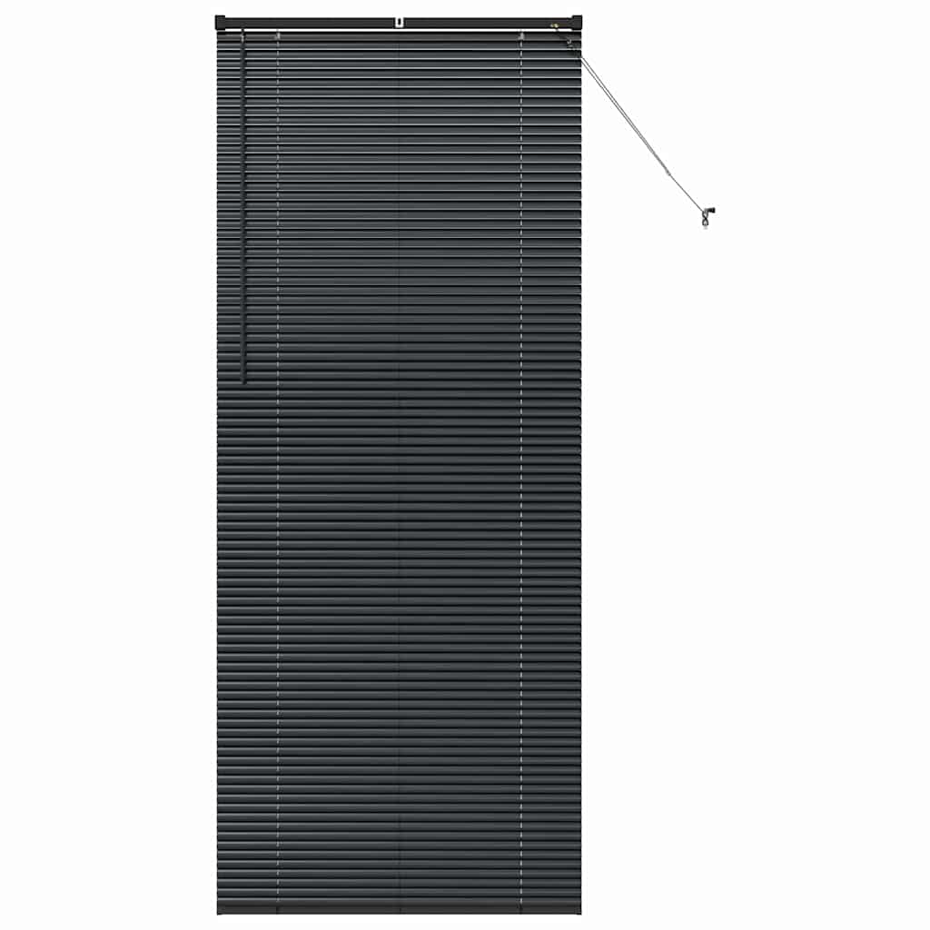Window Blind with Curtains Manual Black Aluminium