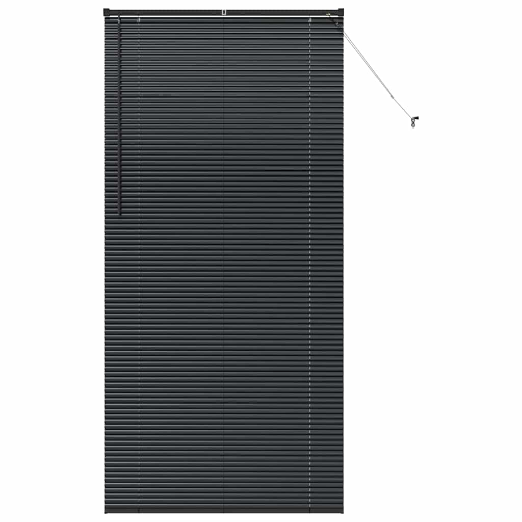 Window Blind with Curtains Manual Black Aluminium