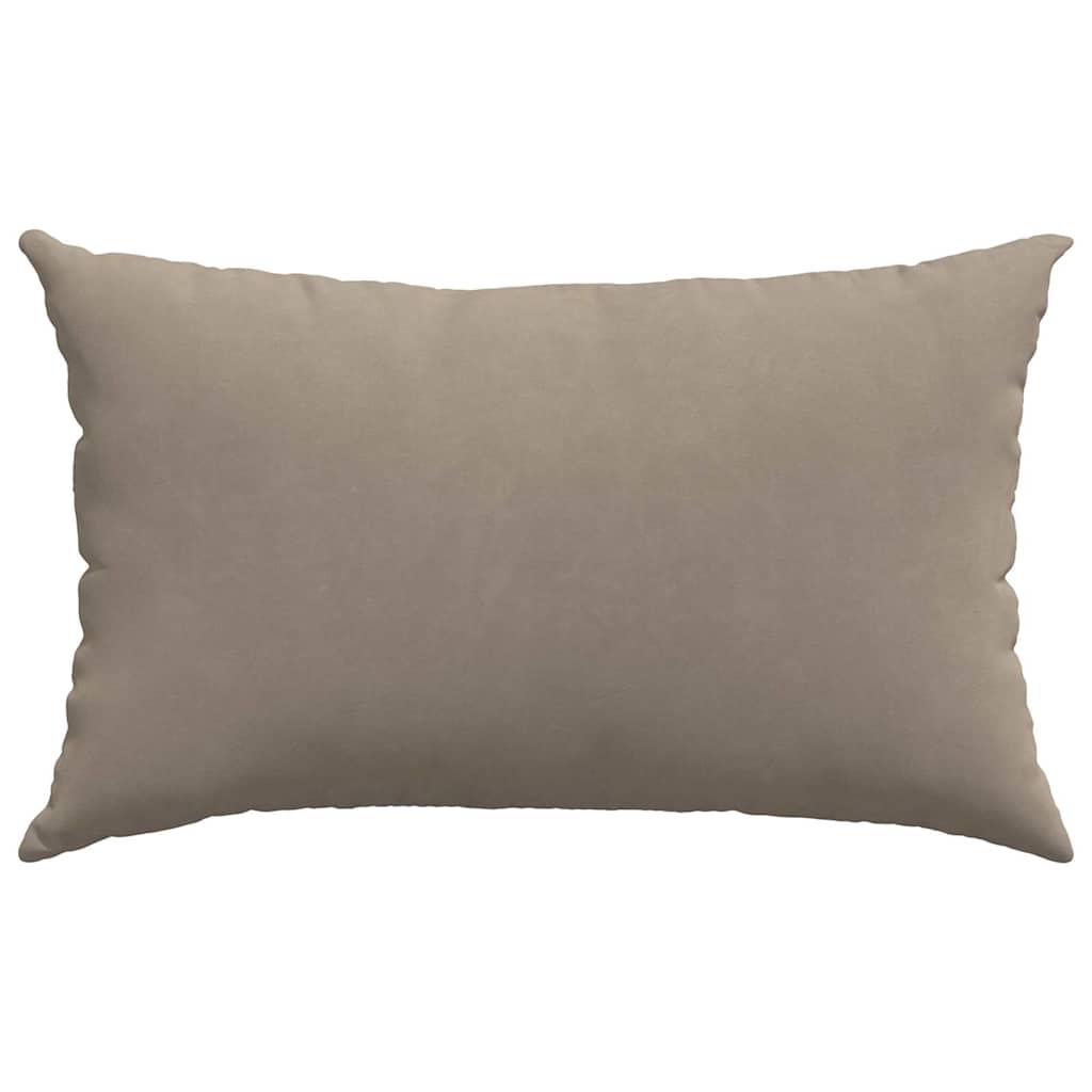 Sofa Pillows 2 pcs Taupe 50 x 30 cm Fabric