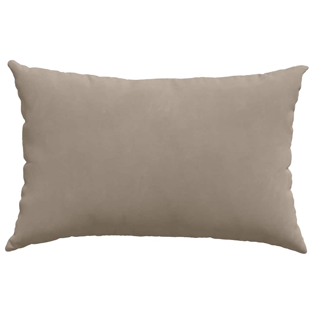 Sofa Pillows 2 pcs Taupe 60 x 40 cm Fabric