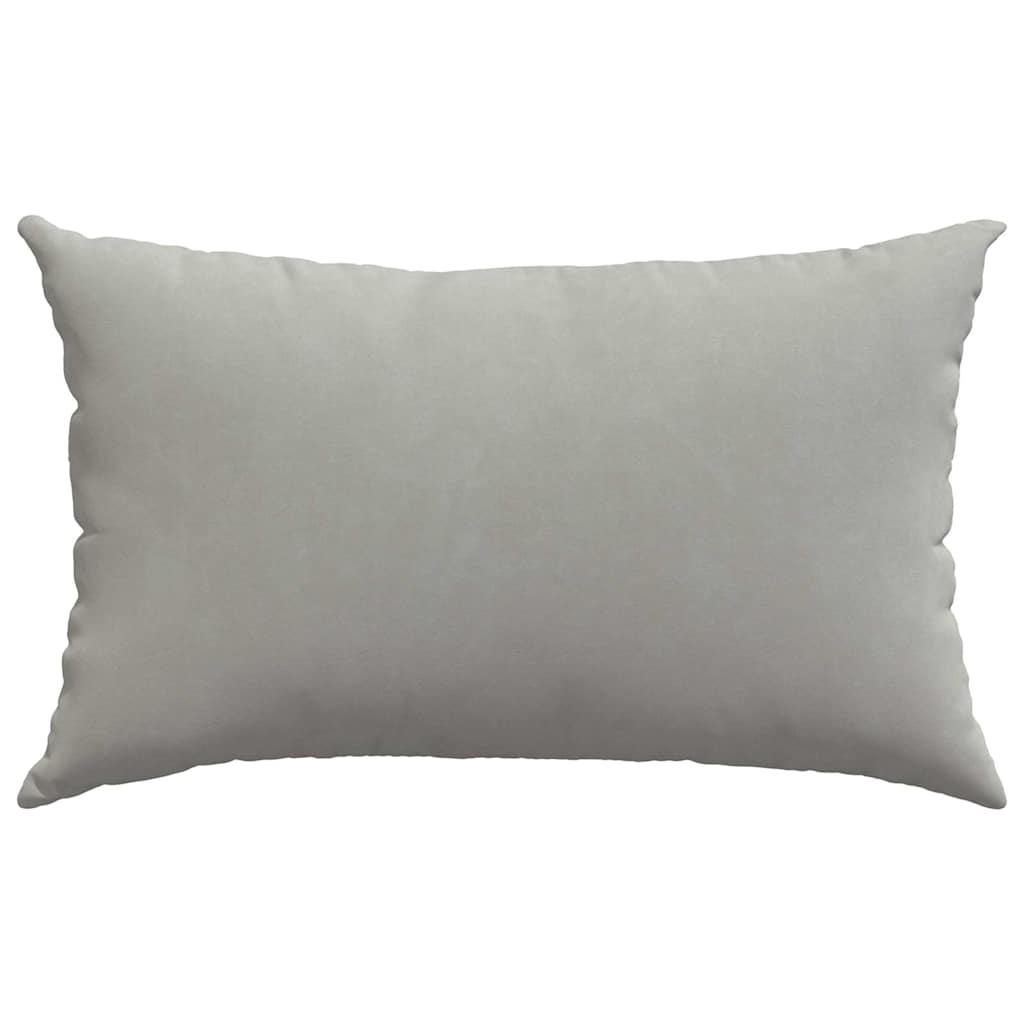 Sofa Pillows 2 pcs Light Grey 50 x 30 cm Fabric